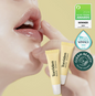 Torriden Solid In-Ceramide Lip Essence 11ml 1+1